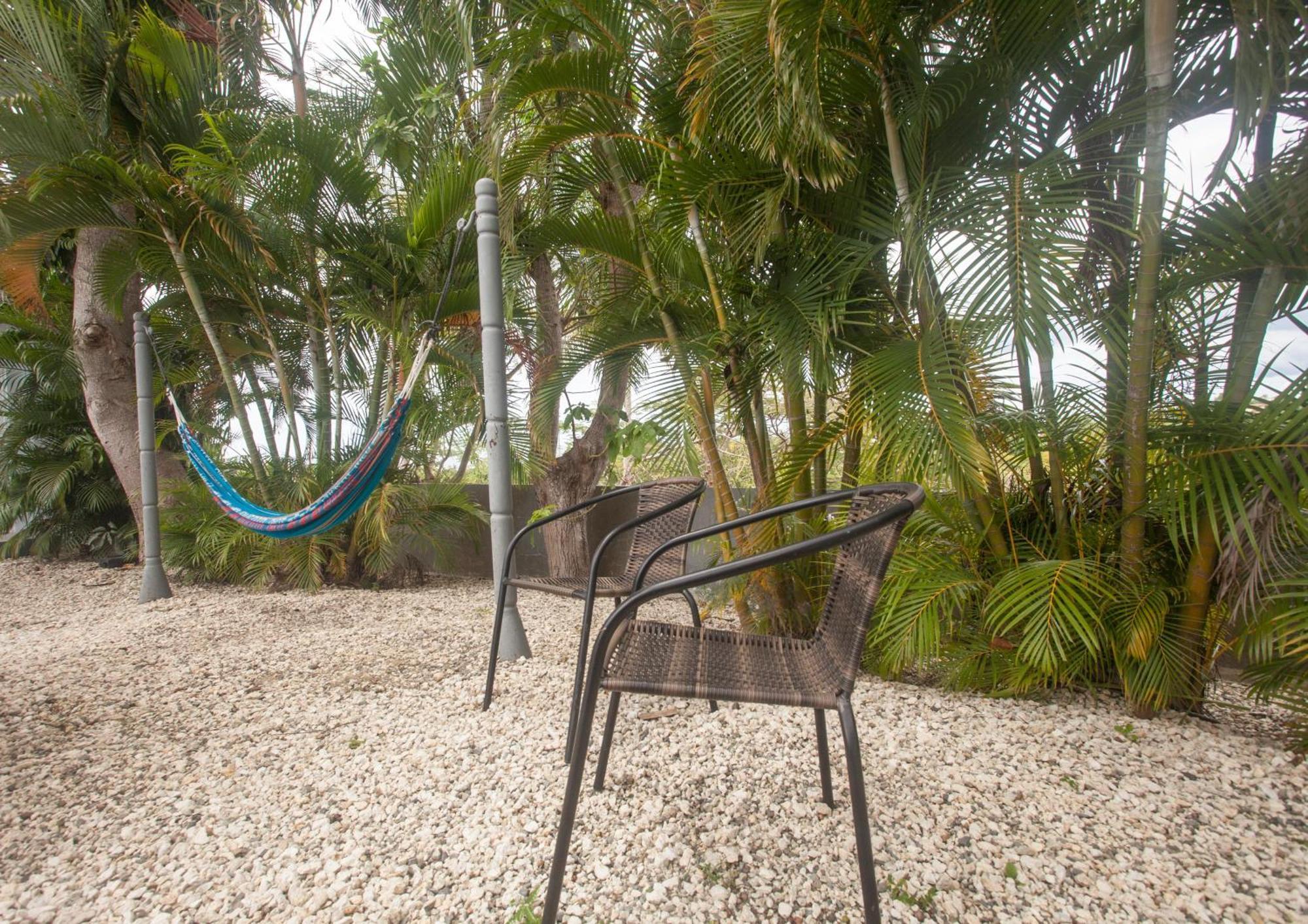 Casa Loba Suite 4 With Private Pool 林康 外观 照片