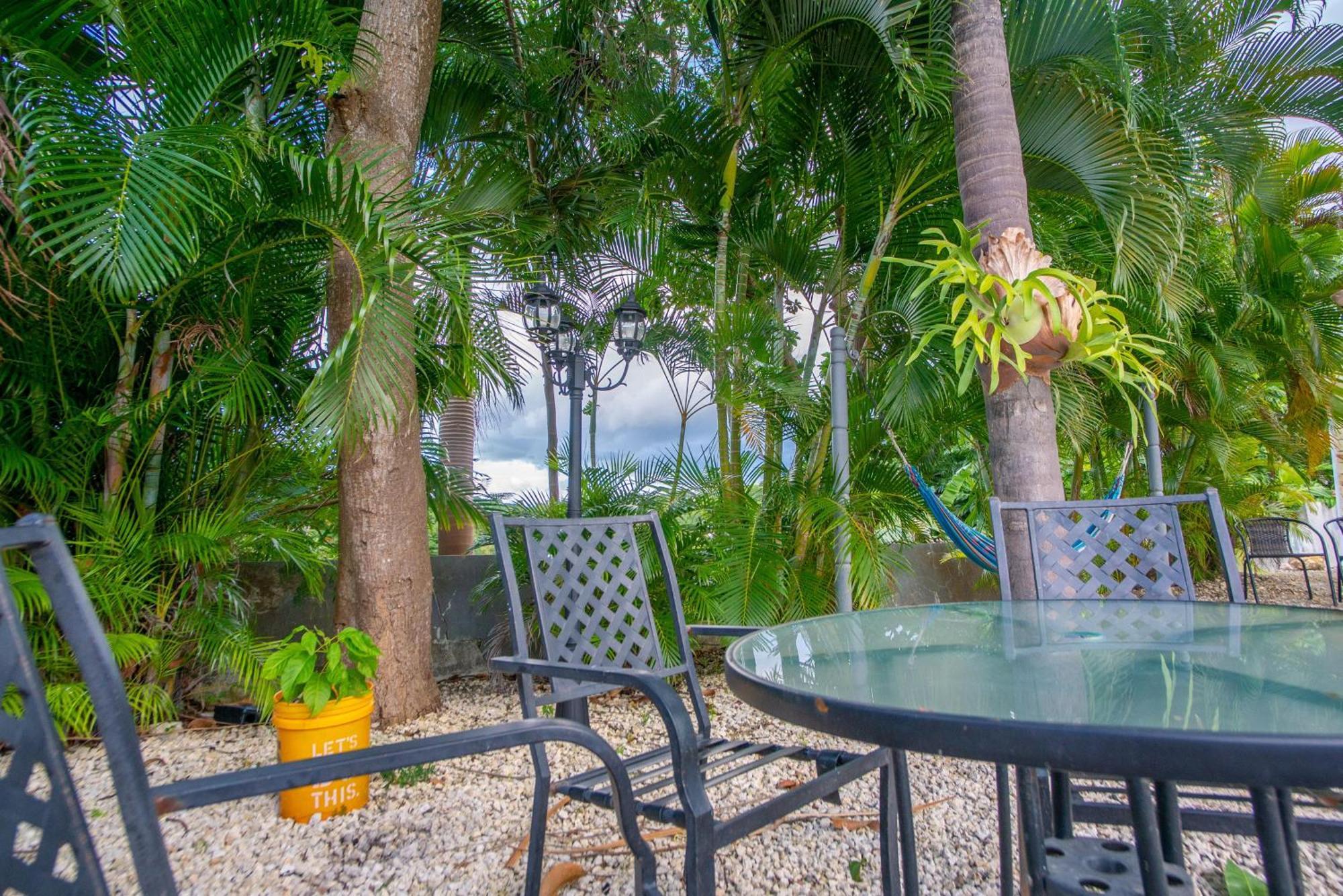 Casa Loba Suite 4 With Private Pool 林康 外观 照片